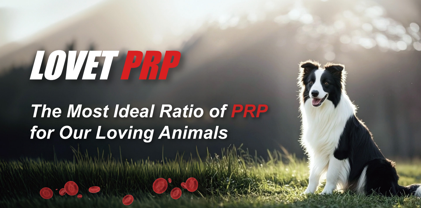 PRP Tube 3ml for Dogs（10pcs）