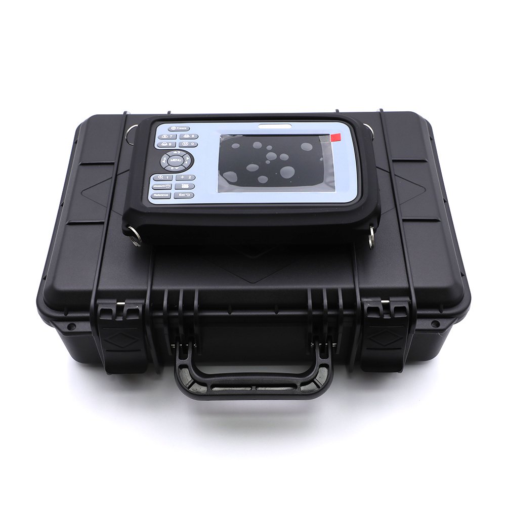 Handheld Ultrasound Scanner for Horses