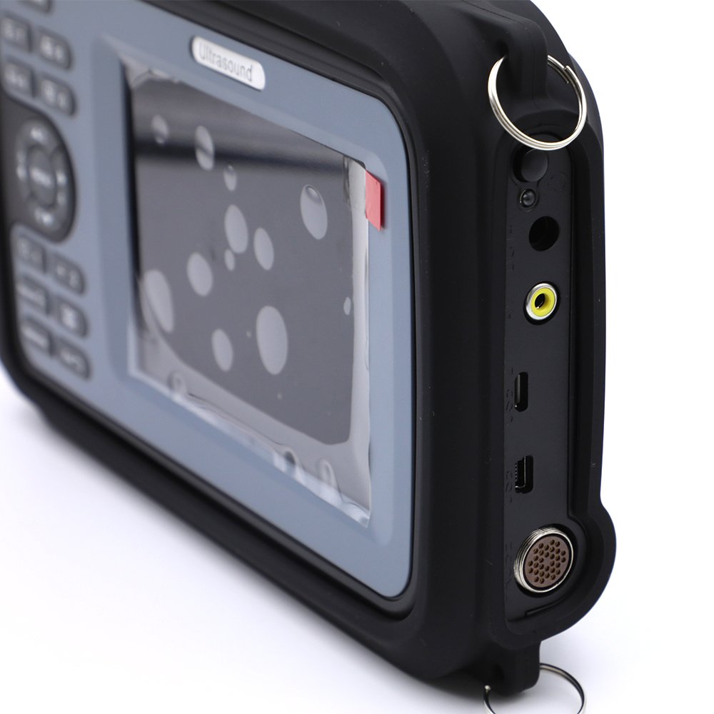 Handheld Ultrasound Scanner for Horses